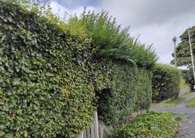 j & s garden and tree service s facebook gallery 1