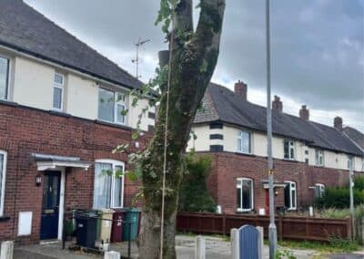 j & s garden and tree service s facebook gallery 16