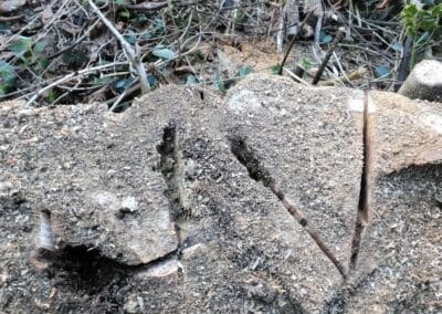 j & s garden and tree service s facebook gallery 18