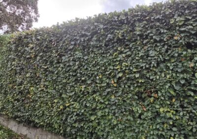 j & s garden and tree service s facebook gallery 2