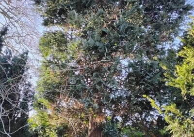 j & s garden and tree service s facebook gallery 21