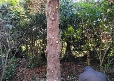 j & s garden and tree service s facebook gallery 22