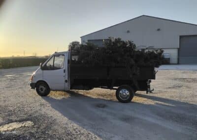 j & s garden and tree service s facebook gallery 23