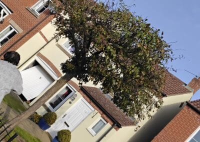 j & s garden and tree service s facebook gallery 24