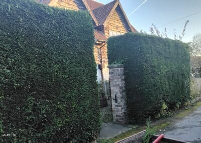 j & s garden and tree service s facebook gallery 26