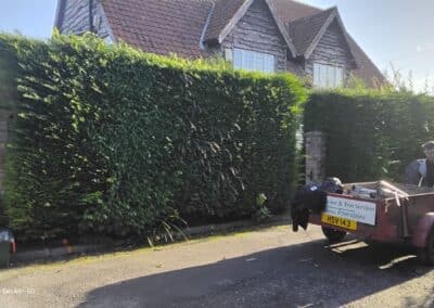 j & s garden and tree service s facebook gallery 27