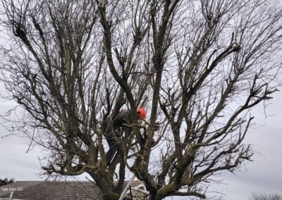 j & s garden and tree service s facebook gallery 29