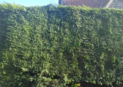 j & s garden and tree service s facebook gallery 3