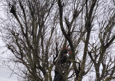 j & s garden and tree service s facebook gallery 30