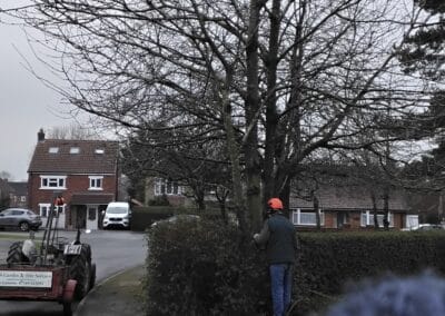 j & s garden and tree service s facebook gallery 31