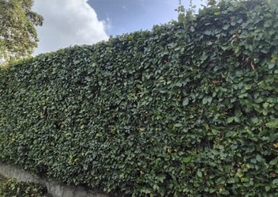 j & s garden and tree service s facebook gallery 32