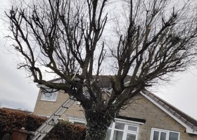 j & s garden and tree service s facebook gallery 36