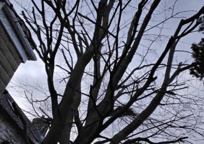 j & s garden and tree service s facebook gallery 46