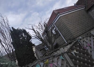 j & s garden and tree service s facebook gallery 48