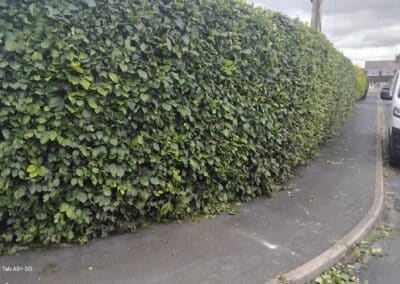 j & s garden and tree service s facebook gallery 49