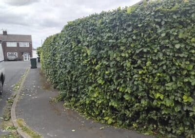 j & s garden and tree service s facebook gallery 50