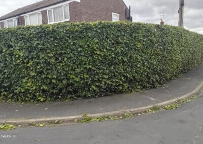 j & s garden and tree service s facebook gallery 51