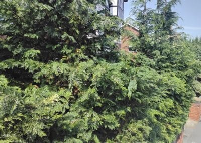 j & s garden and tree service s facebook gallery 52