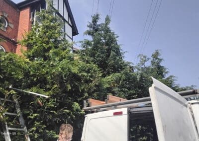 j & s garden and tree service s facebook gallery 53