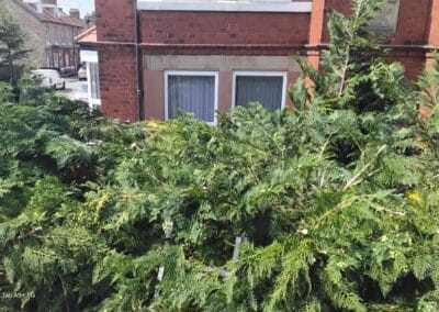 j & s garden and tree service s facebook gallery 54