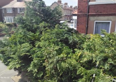 j & s garden and tree service s facebook gallery 55