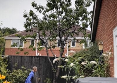 j & s garden and tree service s facebook gallery 58