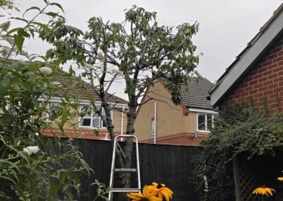 j & s garden and tree service s facebook gallery 59