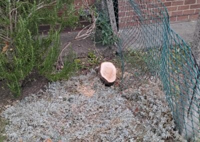 j & s garden and tree service s facebook gallery 61