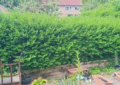 j & s garden and tree service s facebook gallery 66