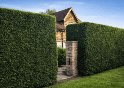 j&s garden and tree service s hero